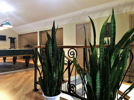 Продам дом, Рябиновая ул, 18, Светлогорск г, 0 км от города