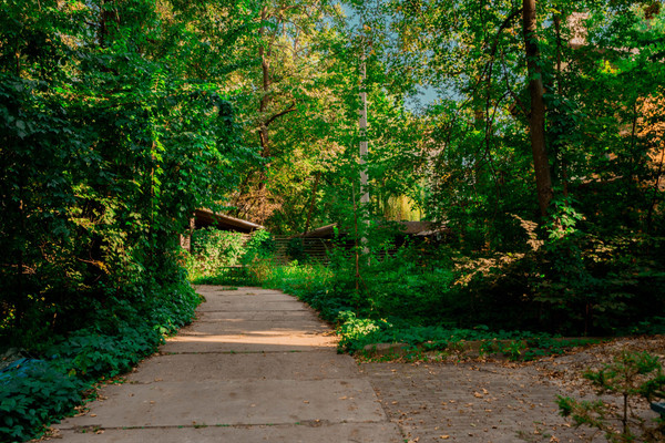 Сдам таунхаус, РМООРС Новое Радчино тер, Рамонь рп, 0 км от города