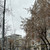 Продам трехкомнатную (3-комн.) квартиру, Энергетиков ул, 3, Казань г