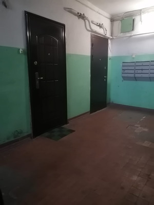 Продам однокомнатную (1-комн.) квартиру, Тракторная ул, 6Ак2, Санкт-Петербург г