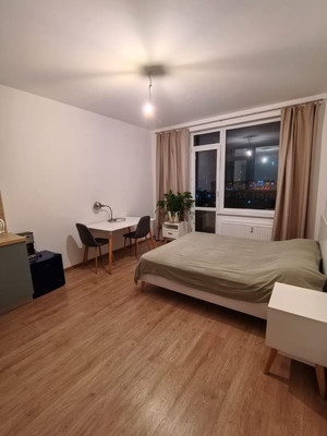 Продам однокомнатную (1-комн.) квартиру, Новолитовская ул, 14, Санкт-Петербург г