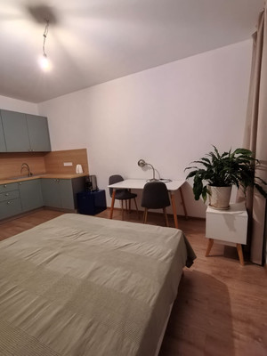 Продам однокомнатную (1-комн.) квартиру, Новолитовская ул, 14, Санкт-Петербург г