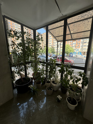 Продам двухкомнатную (2-комн.) квартиру, им. Героя Сарабеева В.И. ул, 9, Краснодар г