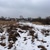 Продам участок 10 соток, ИЖС, Заборье с, 15 км от города