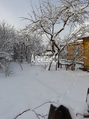 Продам дачу в поселке Гатчинский район, массив Корпиково, СНТ &amp;quot;ЛЭТЗ&amp;quot;, цех 11, ЛЭТЗ цех 11 тер. СНТ, 32, Корпиково массив, 46 км от города