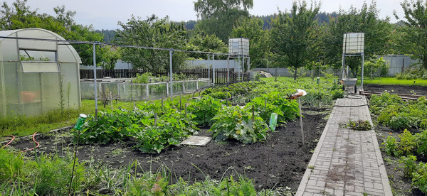 Продам дом, Овражный пер, 10, Девица с, 0 км от города