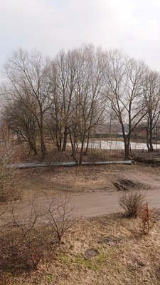 Продам двухкомнатную (2-комн.) квартиру, 8, Жучки д
