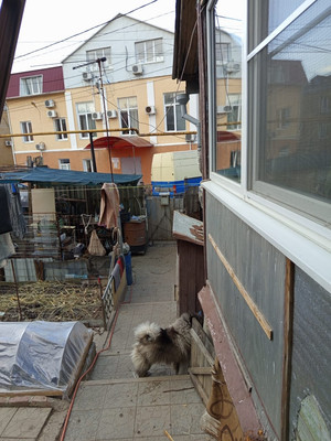 Продам дом, Спинова ул, 6, Туапсе г, 0 км от города