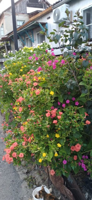 Продам дом, Спинова ул, 6, Туапсе г, 0 км от города