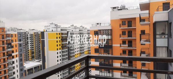 Продам однокомнатную (1-комн.) квартиру, Старорусский пр-кт, 8к1, Шушары п