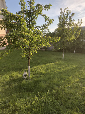 Продам дом, Королькова ул, 67, Усадище с, 0 км от города