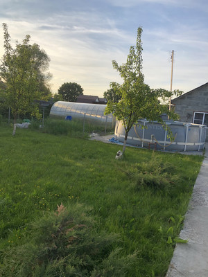 Продам дом, Королькова ул, 67, Усадище с, 0 км от города