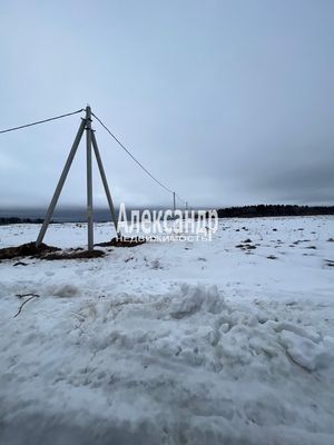 Продам участок 12 соток, Садоводство, Заповедное тер. СНТ, 65 км от города
