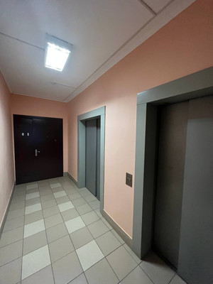 Сдам однокомнатную (1-комн.) квартиру, Гаврская ул, 15, Санкт-Петербург г