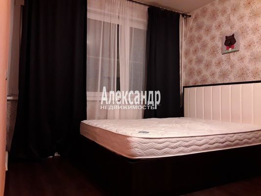Сдам однокомнатную (1-комн.) квартиру, Гражданский пр-кт, 123к3, Санкт-Петербург г
