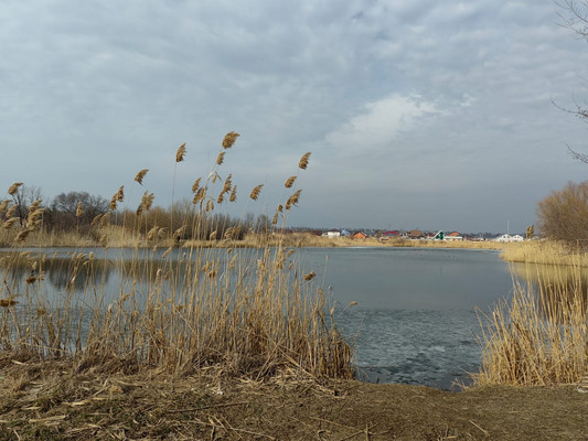 Продам участок 5 соток, ИЖС, Царицинская ул, Щепкин п, 0 км от города