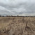 Продам участок 7,81 соток, Фермерское хоз., Старомайково д, 0 км от города