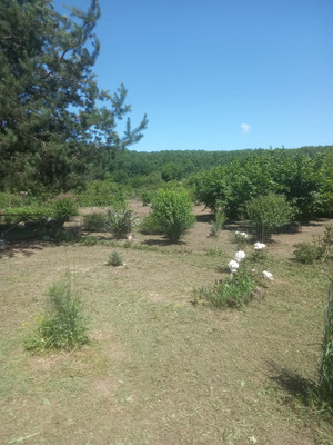 Продам дом, Кирова ул, 36, Шабановское с, 0 км от города