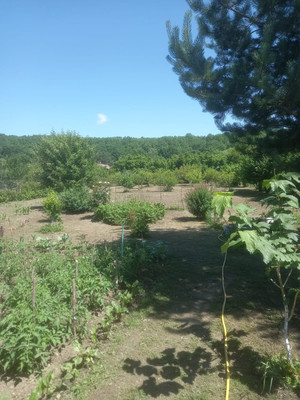 Продам дом, Кирова ул, 36, Шабановское с, 0 км от города