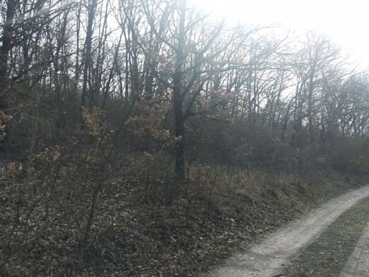 Продам участок 9,1 соток, Фермерское хоз., Ясная ул, Лесное тер. ТСН, 0 км от города