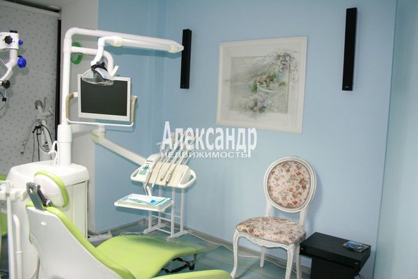 Продам коммерческое помещение 74,8 м2, Профессора Попова ул, 27, Санкт-Петербург г