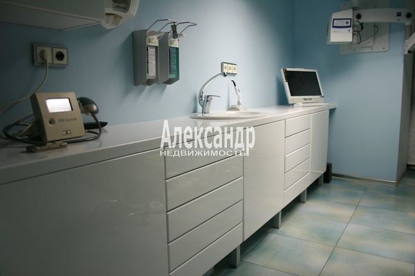 Продам коммерческое помещение 74,8 м2, Профессора Попова ул, 27, Санкт-Петербург г