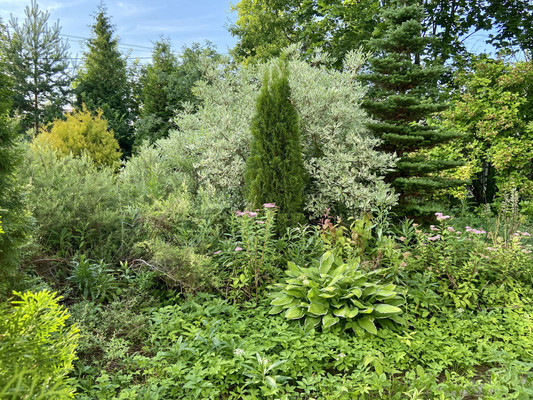 Продам дачу, Толмачево д, 0 км от города