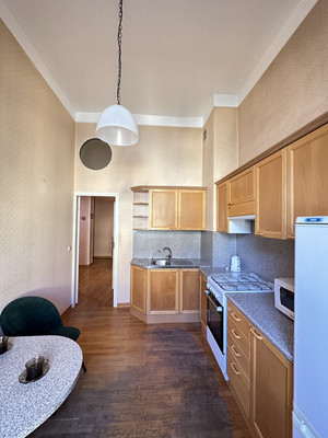 Сдам однокомнатную (1-комн.) квартиру, Ломоносова ул, 12/66, Санкт-Петербург г