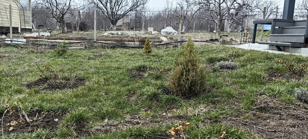Продам дачу, Грушевая ул, 201, Терновое с, 0 км от города