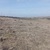 Продам участок 8 соток, ИЖС, Камышинка с, 0 км от города
