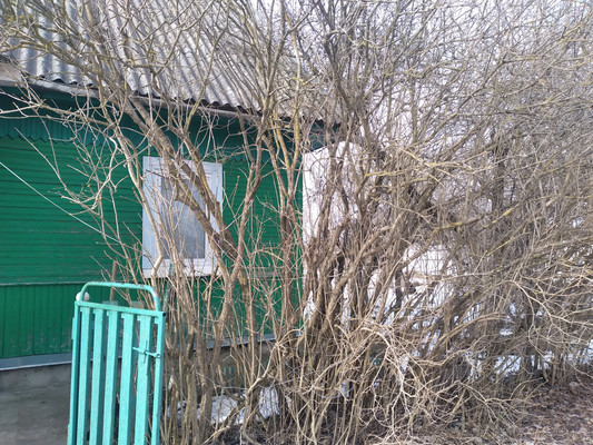 Продам дом, Курковицкое ш, 5, Кикерино п, 0 км от города