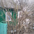 Продам дом, Курковицкое ш, 5, Кикерино п, 0 км от города