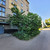 Продам однокомнатную (1-комн.) квартиру, Забайкальская ул, 15к2, Рязань г