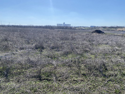 Продам участок 8 соток, ИЖС, СХТ ул, Коноково с, 0 км от города