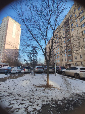 Продам однокомнатную (1-комн.) квартиру, Левченко ул, 1, Жуковский г