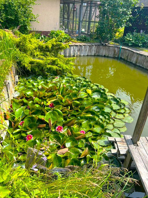 Продам дом, Таганрогская ул, 15, Калининград г, 0 км от города