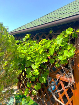 Продам дом, Таганрогская ул, 15, Калининград г, 0 км от города