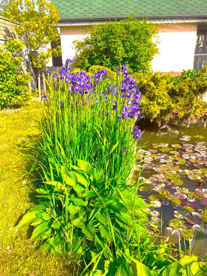 Продам дом, Таганрогская ул, 15, Калининград г, 0 км от города