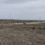 Продам землю для коммерческого использования 6,6 соток, Фермерское хоз., Дубки с