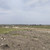 Продам землю для коммерческого использования 6,6 соток, Фермерское хоз., Дубки с