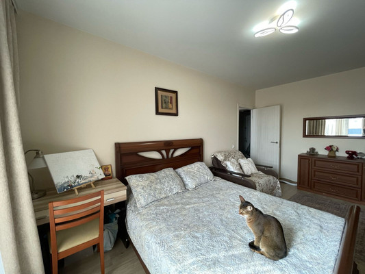 Продам двухкомнатную (2-комн.) квартиру, лётчика Ларюшина ул, 10, Люберцы г