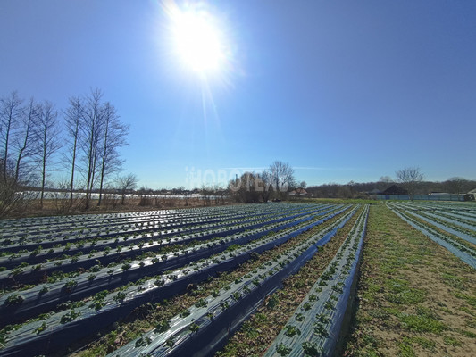 Продам дом, Кимовская ул, 91, Вперед с, 0 км от города