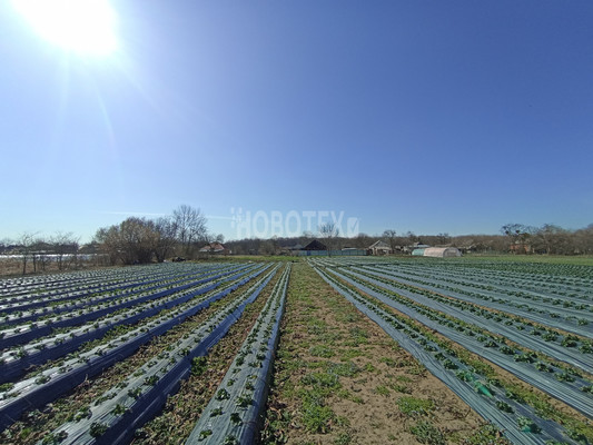Продам дом, Кимовская ул, 91, Вперед с, 0 км от города