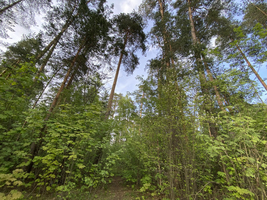 Продам участок 25 соток, 4-й Некрасовский пер, Раменское г, 0 км от города