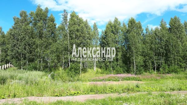 Продам участок 17 соток, ИЖС, Колтуши д, 11 км от города