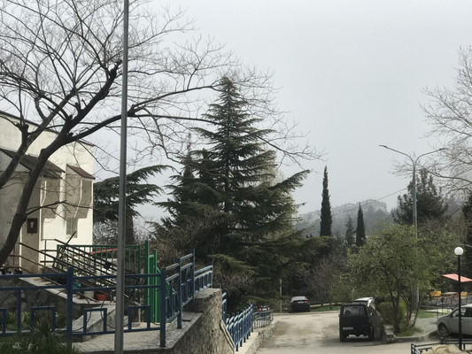 Продам однокомнатную (1-комн.) квартиру, Виноградная ул, 26, Алушта г