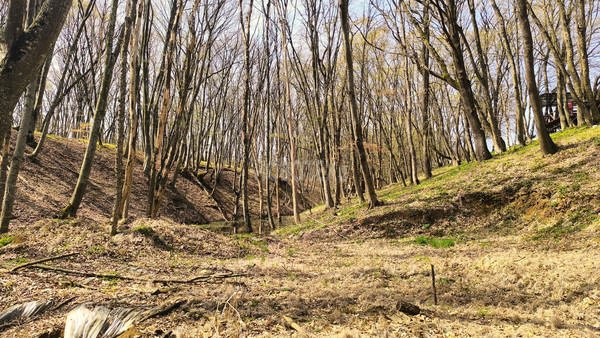 Продам участок 8 соток, Королева пер, 15, Первенец п, 0 км от города