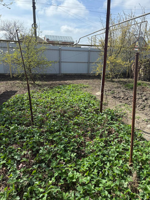 Продам дом, Парковая ул, 8а, Старая Станица ст-ца, 0 км от города