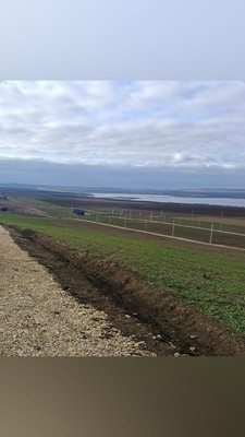 Продам участок 5,5 соток, ИЖС, Вязов ул, Веселовка п, 0 км от города