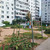 Продам трехкомнатную (3-комн.) квартиру, Шошина ул, 13, Иваново г